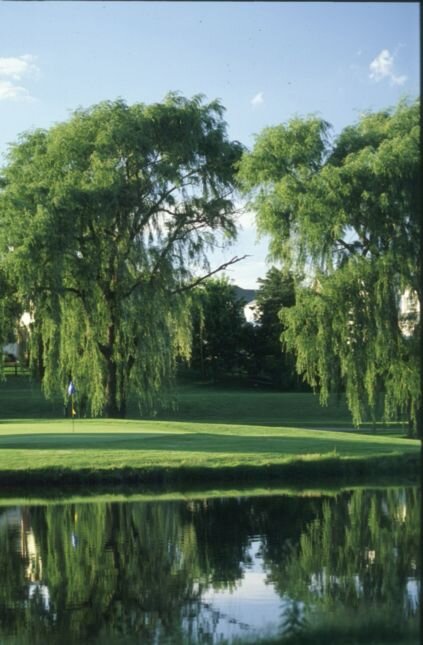 Hilldale green guarded by water and willows